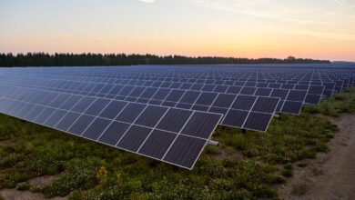 Las energías renovables en Estados Unidos seguirán aumentando a pesar de la pérdida de incentivos