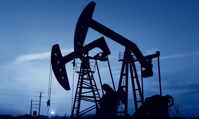Egipto planea perforar 480 pozos petroleros en cinco años. Egipto planea perforar 480 pozos petroleros en cinco años.