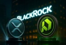 El famoso analista cae Bombshell: BlackRock se está almacenando en XRP y este token bancario barato de $ 0.015?