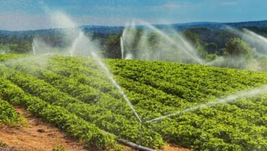 Instacrops demostrará su IA que ahorra agua y que aumenta el cultivo en TechCrunch Disrupt 2025