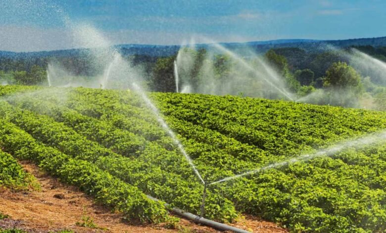 Instacrops demostrará su IA que ahorra agua y que aumenta el cultivo en TechCrunch Disrupt 2025