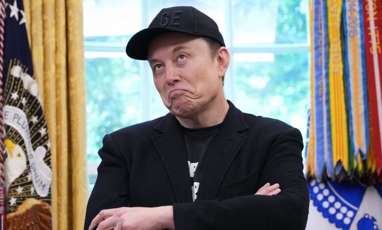 Elon Musk está tratando de boicotear Netflix