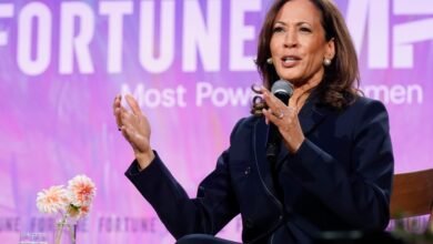 Kamala Harris no cree que su carrera presidencial haya sido su final: un “acantilado de vidrio sugiere finalidad, y eso no me gusta”