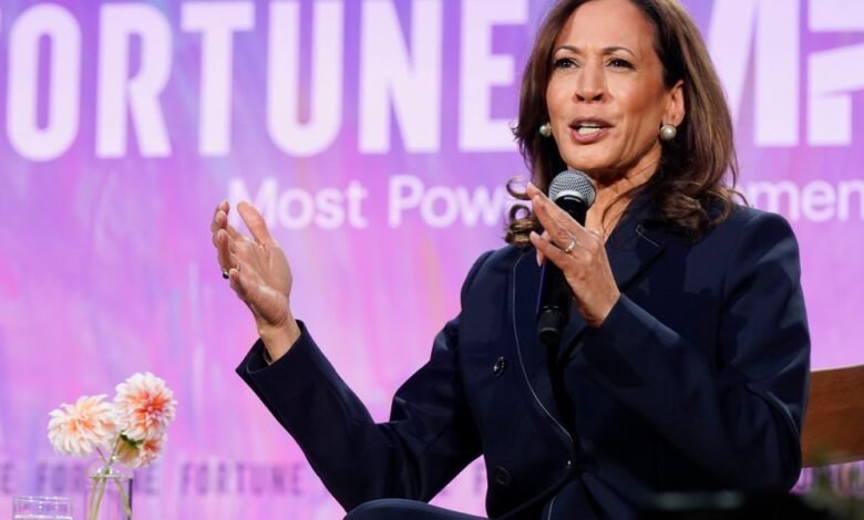 Kamala Harris no cree que su carrera presidencial haya sido su final: un “acantilado de vidrio sugiere finalidad, y eso no me gusta” Kamala Harris no cree que su carrera presidencial haya sido su final: un “acantilado de vidrio sugiere finalidad, y eso no me gusta”