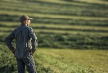 Farm Bankrupcies es más alto en medio de los bajos precios de los cultivos, mientras que Trump considera que ha recibido $ 14 mil millones.