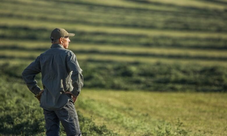 Farm Bankrupcies es más alto en medio de los bajos precios de los cultivos, mientras que Trump considera que ha recibido $ 14 mil millones.