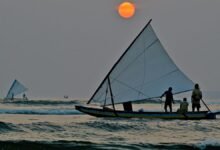 El Censo Nacional de Pesca Marina de 2025 se publicó por primera vez en formato totalmente digital.