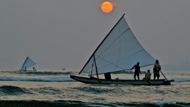 El Censo Nacional de Pesca Marina de 2025 se publicó por primera vez en formato totalmente digital. El Censo Nacional de Pesca Marina de 2025 se publicó por primera vez en formato totalmente digital.