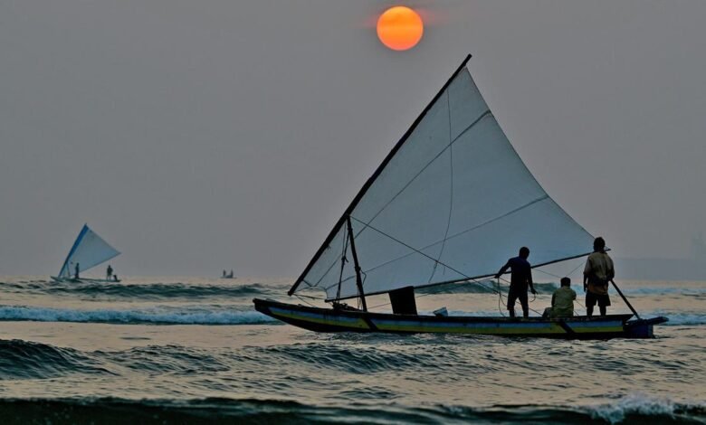 El Censo Nacional de Pesca Marina de 2025 se publicó por primera vez en formato totalmente digital. El Censo Nacional de Pesca Marina de 2025 se publicó por primera vez en formato totalmente digital.