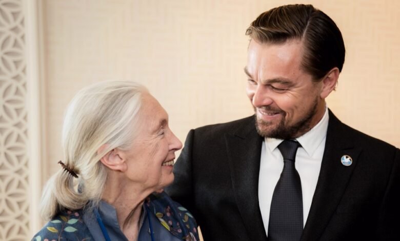 Leonardo DiCaprio “querido amigo” reveló la última palabra a Jane Goodall