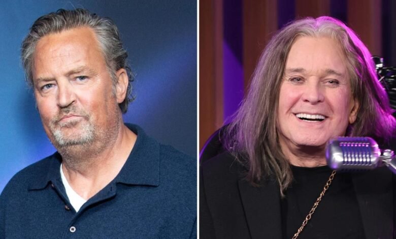Mathew Perry fue a la casa de OJ Osburn para la reunión de AA