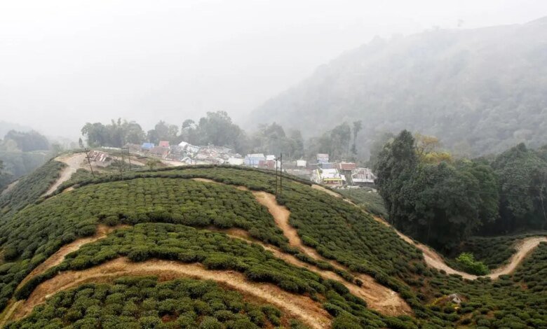 Inundaciones y deslizamientos de tierra de Darjeeling: cosecha de otoño premium totalmente lavada, el suministro de té sigue siendo una gran preocupación