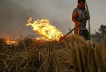 La quema de rastrojos disminuye en todos los estados excepto en Madhya Pradesh, pero Delhi sigue en riesgo en medio del GRAP I invocado