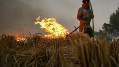 La quema de rastrojos disminuye en todos los estados excepto en Madhya Pradesh, pero Delhi sigue en riesgo en medio del GRAP I invocado