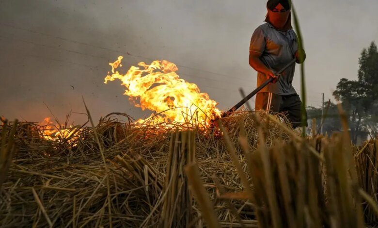 La quema de rastrojos disminuye en todos los estados excepto en Madhya Pradesh, pero Delhi sigue en riesgo en medio del GRAP I invocado La quema de rastrojos disminuye en todos los estados excepto en Madhya Pradesh, pero Delhi sigue en riesgo en medio del GRAP I invocado