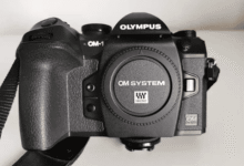 Técnicas Olympus OM-1: eleva tu fotografía con apilamiento de enfoque y captura Pro