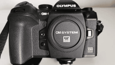 Técnicas Olympus OM-1: eleva tu fotografía con apilamiento de enfoque y captura Pro