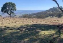 Quarry propuso suministrar enorme proyecto eólico enviado al IPC tras objeciones masivas