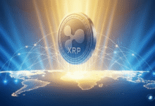 Guía para principiantes de minería XRP: de mantener a ganar, BAY Miner lidera una nueva tendencia en retornos estables en USD