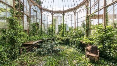 Azulejos de gelura, invernaderos de invernadero en el delincuente romano “Jardines secretos” – enorme