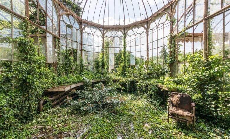 Azulejos de gelura, invernaderos de invernadero en el delincuente romano “Jardines secretos” – enorme