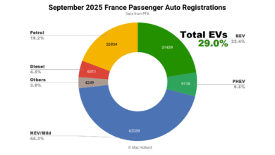 Los EV toman una participación del 29.0% en Francia: el modelo Y recupera el plomo