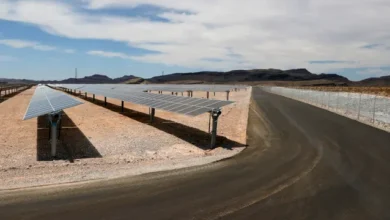El Interior niega haber cancelado el mayor proyecto solar de EE. UU. tras eliminar la revisión