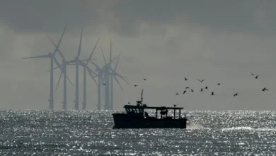 California invertirá 226 millones de dólares en puertos eólicos marinos en medio de recortes federales