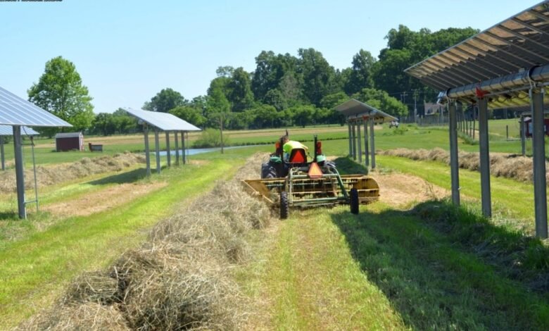 Nuevas soluciones agriograsas siguen burbujeando en los Estados Unidos