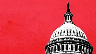 Startups y el gobierno de los Estados Unidos: se está complicando