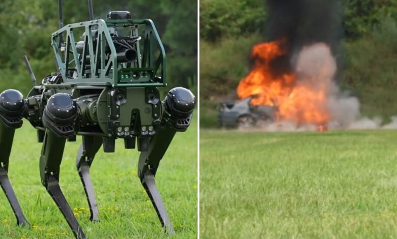 Se presenta el perro robot guerrero autónomo que lanza bombas y rastrea objetivos y los hace añicos Se presenta el perro robot guerrero autónomo que lanza bombas y rastrea objetivos y los hace añicos