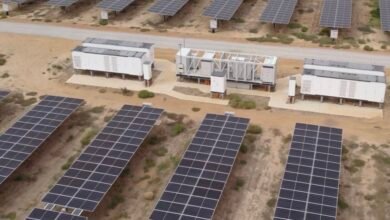 Se abre formalmente una nueva licitación de la CEI para energía eólica y solar, mientras EDP de Portugal señala el inicio temprano de proyectos híbridos solares