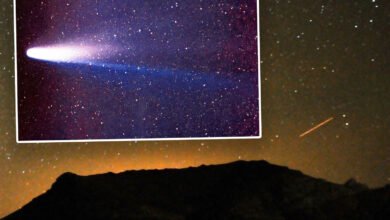 Orionids Shower con 25 bolas de fuego a la hora del cometa de Halley ‘que solo visita cada 75 años visible esta noche