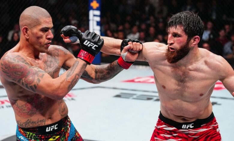 Predecir, las mejores probabilidades y probabilidades de UFC para Magomed Ankalaev en comparación con Alex Pereira 2
