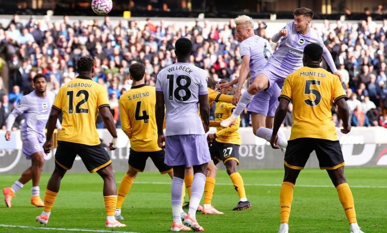Wolf 1 – 1 Brighton Wolf 1 – 1 Brighton