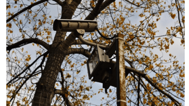 Tecnología de truco o trato: consejos de seguridad inteligentes para Halloween