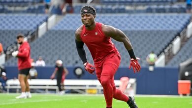 Los Leones acuerdan términos con S Jammie Robinson
