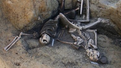 Un antiguo e inquietante pozo encontrado ‘relleno de cuerpos de soldados romanos’ después de una batalla hace 1.800 años
