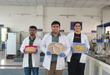 ¿Cómo es el proyecto de paja de trigo de IIIT Roorke?