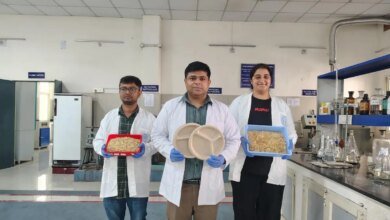 ¿Cómo es el proyecto de paja de trigo de IIIT Roorke?