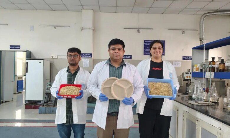 ¿Cómo es el proyecto de paja de trigo de IIIT Roorke?