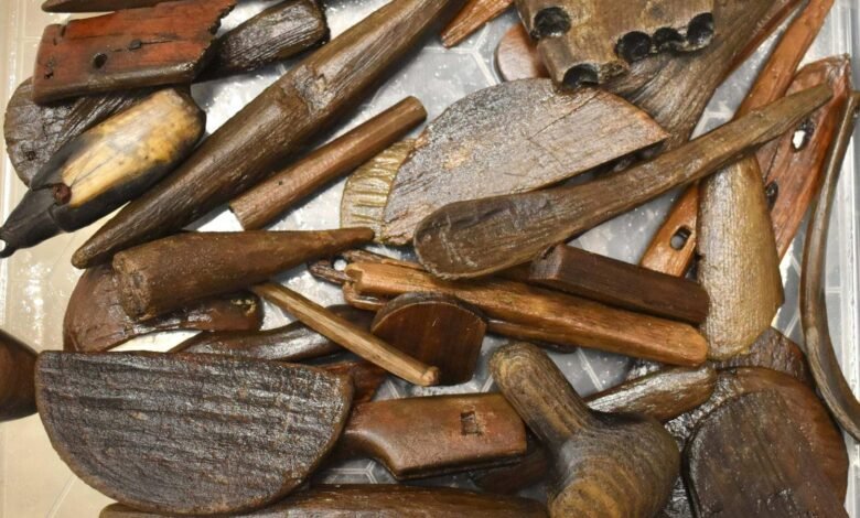 Sitio arqueológico en Alaska que arroja luz sobre la vida temprana de los Yup’ik devastada por el ex tifón Halong