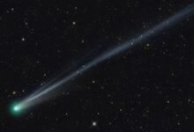 Dos cometas verdes brillan intensamente. Cómo detectarlos en el cielo nocturno