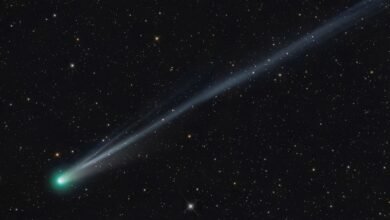 Dos cometas verdes brillan intensamente. Cómo detectarlos en el cielo nocturno
