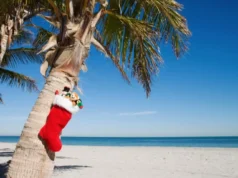 El interés aumenta y las tarifas aéreas caen a medida que las herramientas de inteligencia artificial ganan popularidad