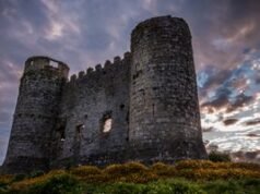 Castillo de Carlow en Carlow, Irlanda