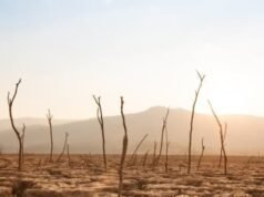 Irán al borde de la “quiebra del agua”