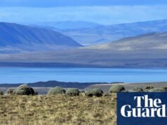 ‘¿Cambiará el clima? ¿Puede la vida silvestre soportarlo?’: La prisa de Europa por construir proyectos energéticos en Chile puede no ser tan respetuosa con el medio ambiente como se pensaba | Chile