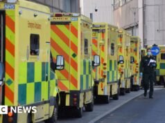 El gobierno dirigirá los simulacros de emergencia pandémica del Reino Unido en otoño