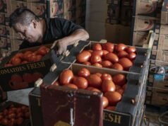 Trump toma medidas para reducir los aranceles sobre importaciones clave de alimentos